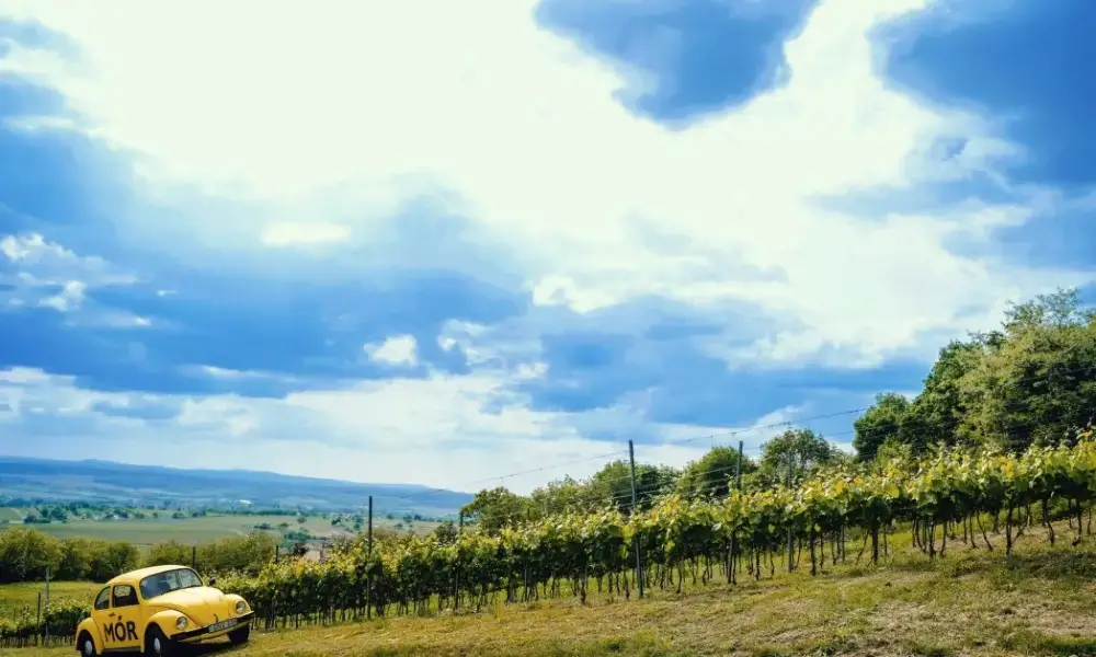 Legyen ezerjó közös élményünk! Legyen ezerjó közös élményünk!